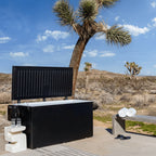Black outdoor plunge with a desert landscape and palm tree in the background.